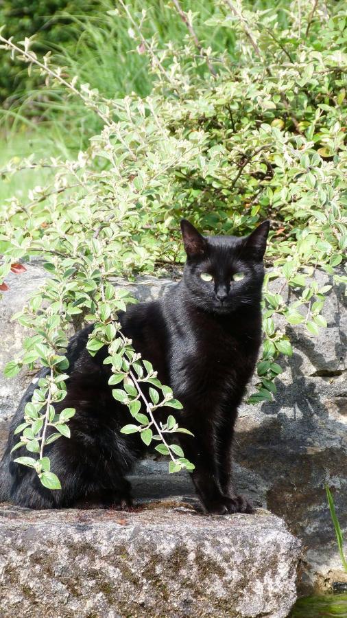 Clan Boucheron Louroux-Bourbonnais エクステリア 写真